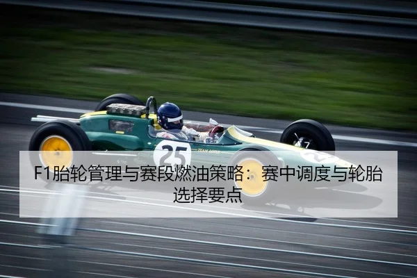 tai-lun-guan-li-yu-sai-duan-ran-you-ce-lve-sai-zhong-diao-du-yu-lun-tai-xuan-ze-yao-dian-2-355.jpg